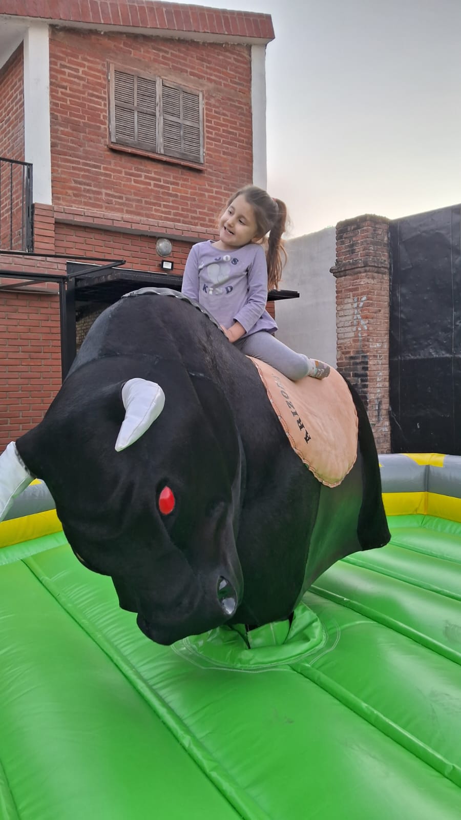 toro Mecanico
